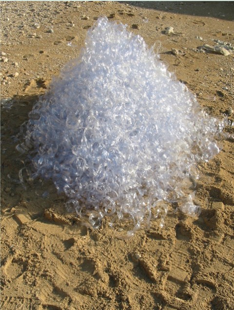 Water (Bottle) Mound - 1000 water bottles, 150 x 150 x 110cm, 2003