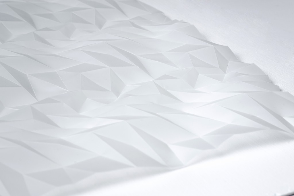 Experiment in Folded Form Number 12 (detail)
