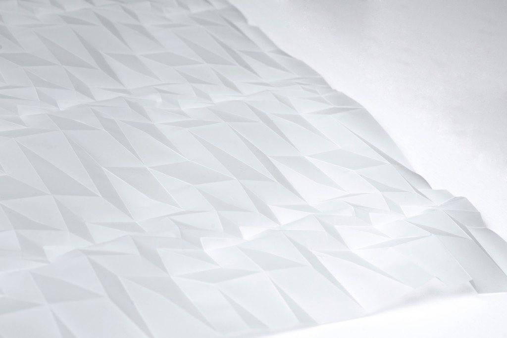 Experiment in Folded Form Number 13 (detail)